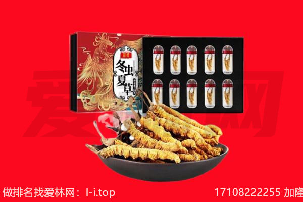 普洱市江城回收虫草.jpg